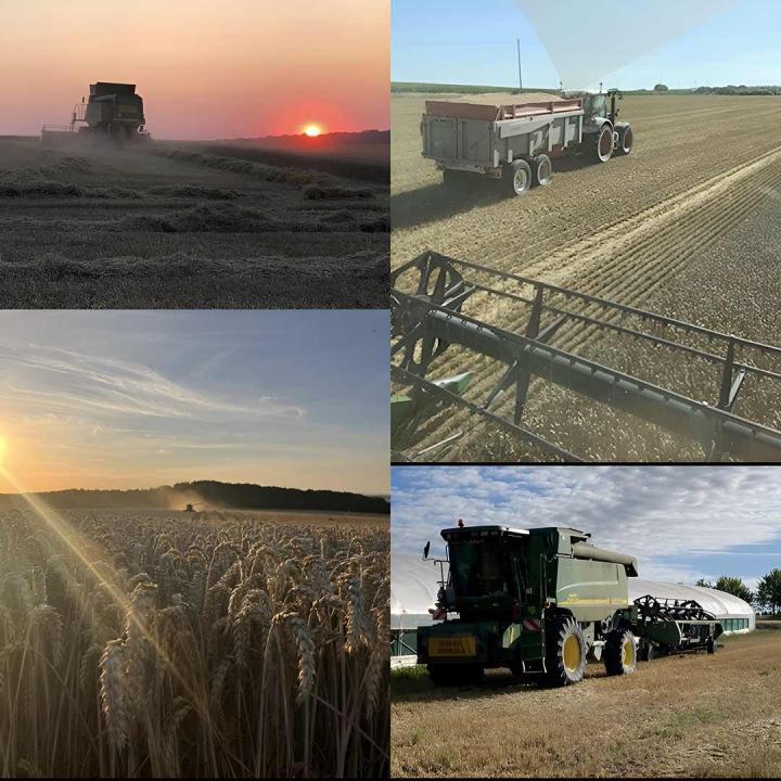 Professionnel du semis Troyes